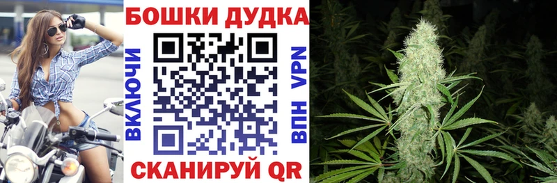 закладки Уржум Конопля Bruce Banner